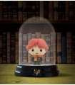 Mini Lámpara 3D Harry Potter Ron