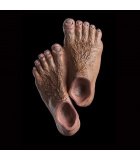 El Señor de los Anillos Imán Hobbit Feet