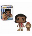 538 DISNEY ALADDIN  FUNKO POP ALADDIN OF AGRABAH WITH ABU