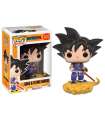 109 DRAGONBALL FUNKO POP GOKU & FLYING NIMBUS