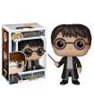 01 HARRY POTTER FUNKO POP HARRY POTTER