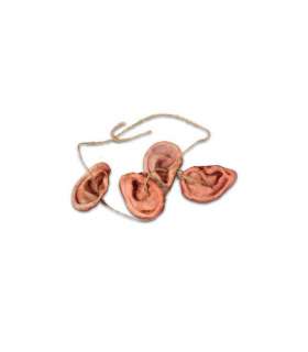 Collar de Orejas Daryl The Walking Dead