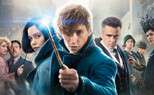 Fantastic beast